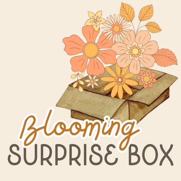 Blooming Surprise Mixed Wooden Flower Box